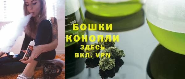 PSILOCYBIN Белокуриха