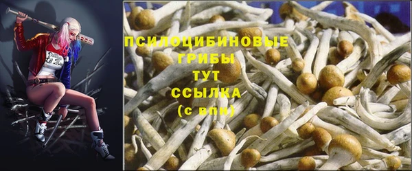 PSILOCYBIN Белокуриха